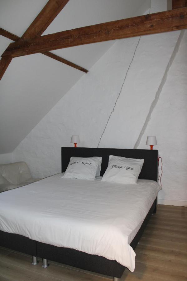 Vakantiewoning 'T Kartuis, Brugge المظهر الخارجي الصورة